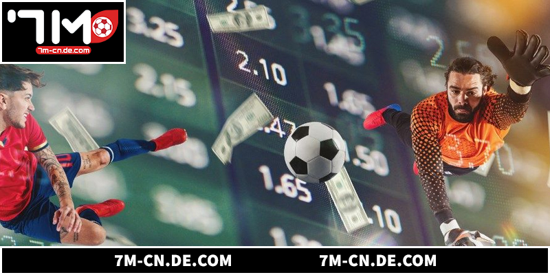 Các tiện ích được người dùng ưa chuộng tại 7M