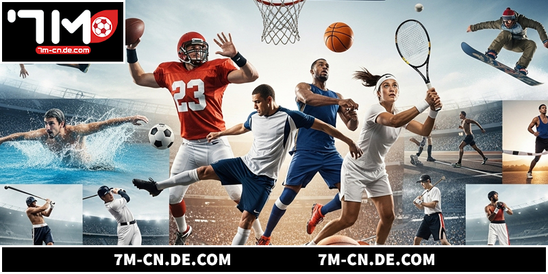 Lý do người chơi lựa chọn thể thao 7M